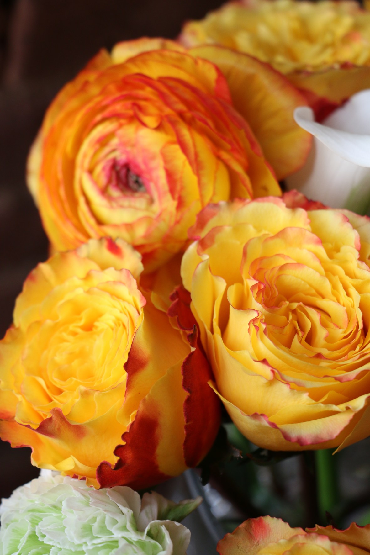 Flora III The Arrangement 2