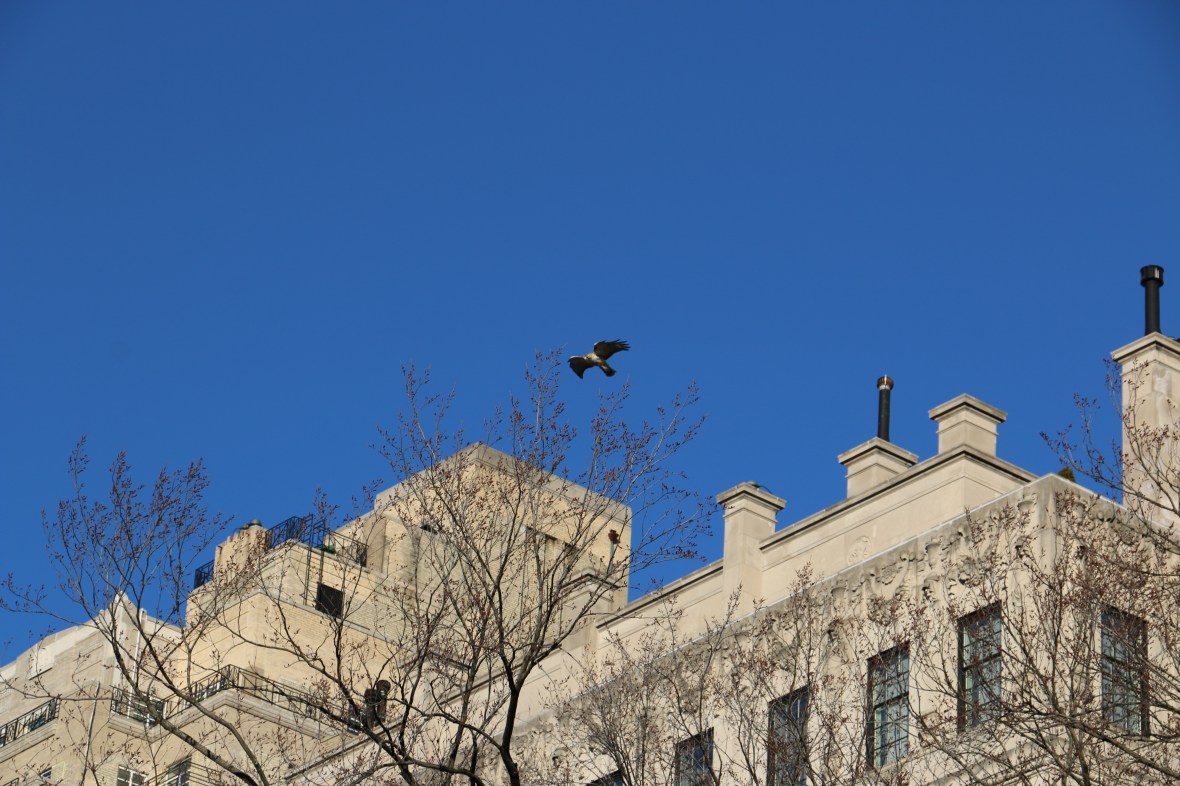 I was pretty set to leave when my attention was called to the above.