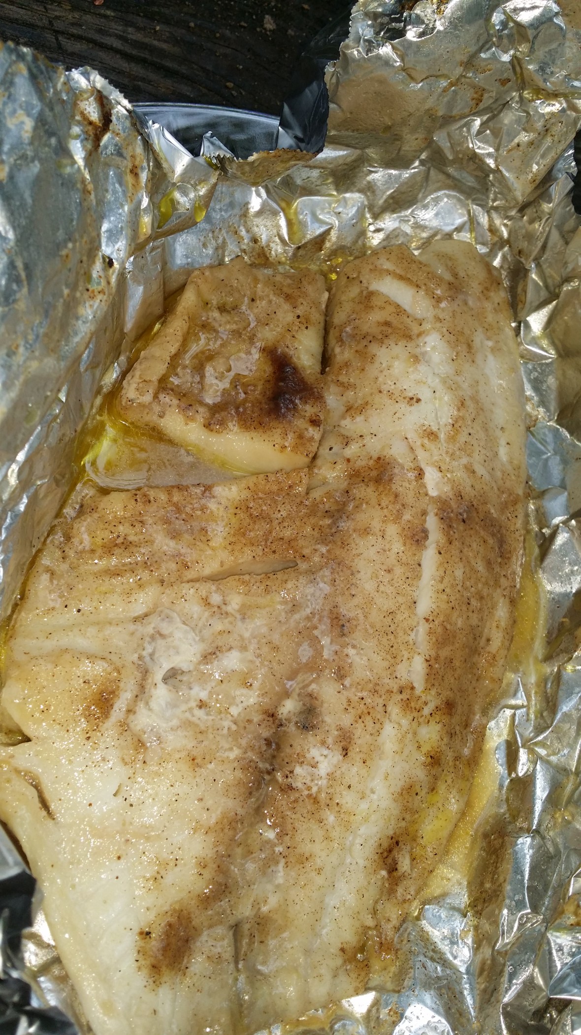 Grilled fish Open Fire