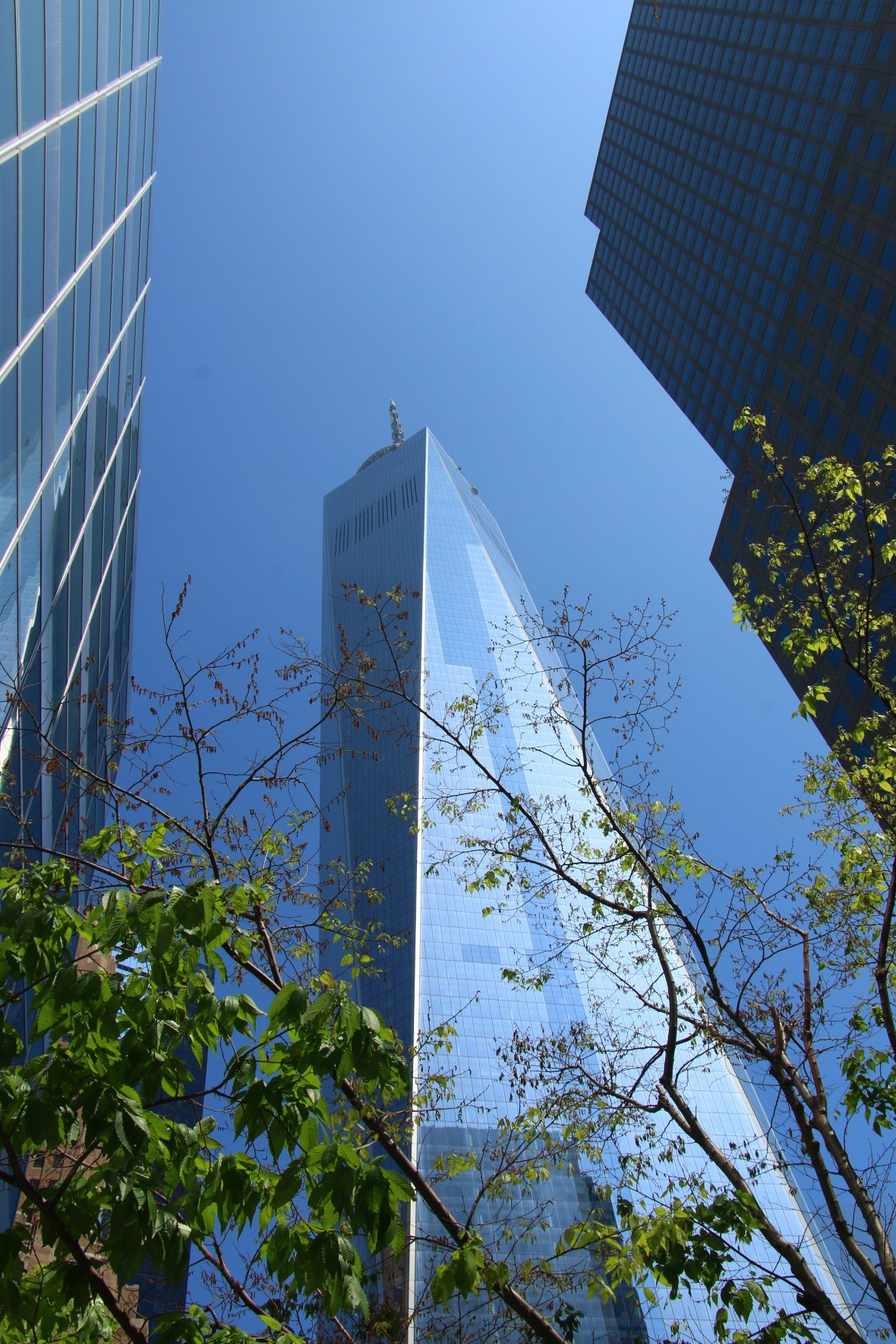 Up Under One World Trade