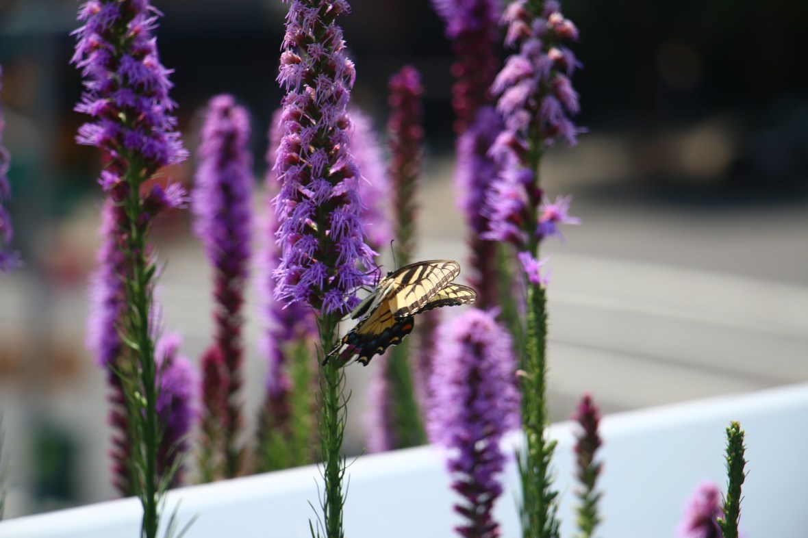 R.O.T.B.F.M On Slant