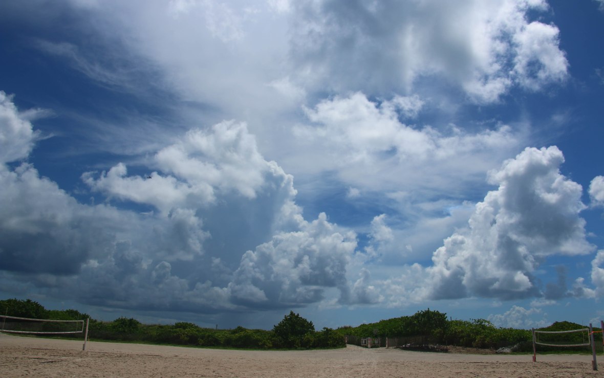 A Scene South Beach Miami
