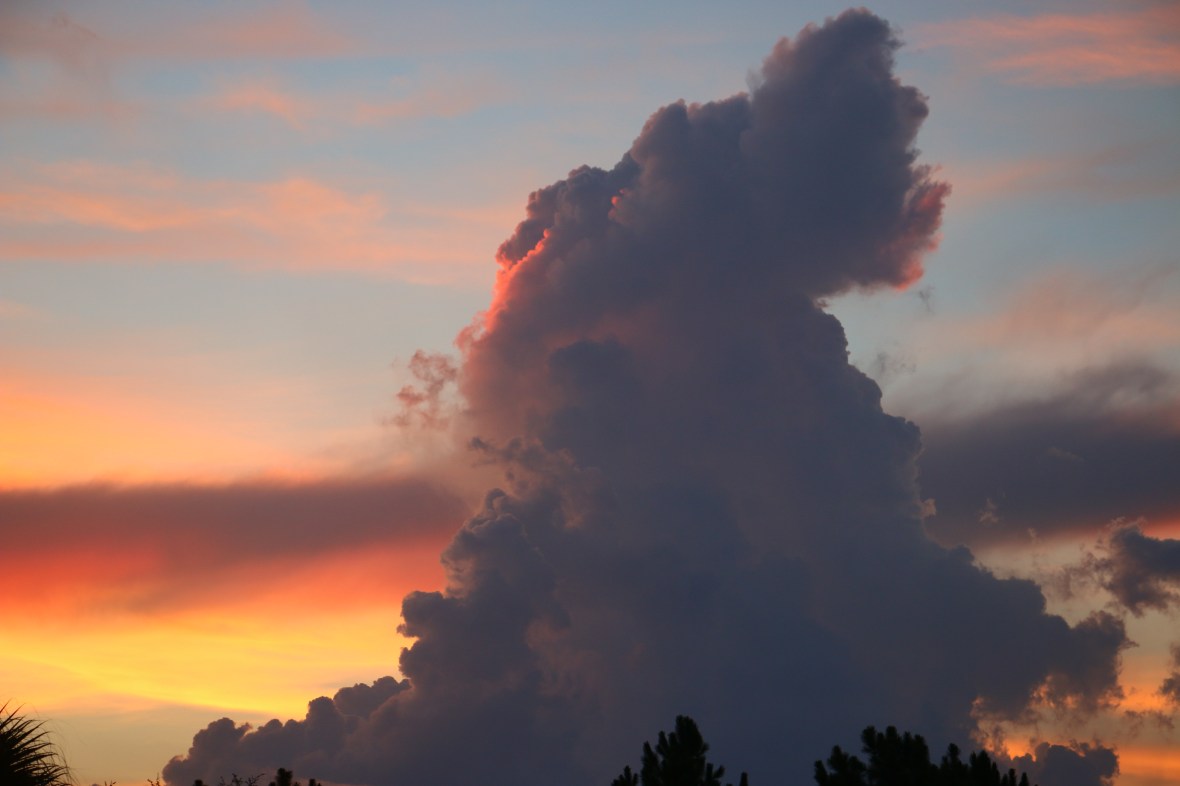 THe Cloud Wars Godzilla Shot From Behind Close Up