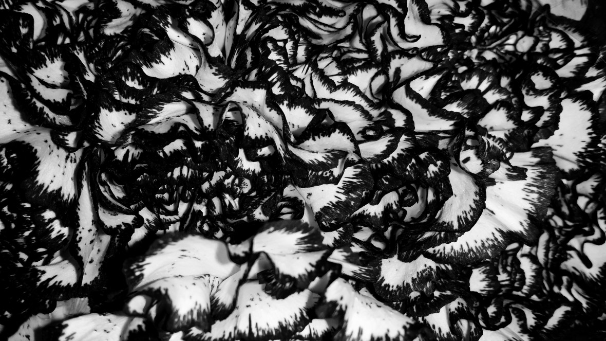 "Fancy" Black & White