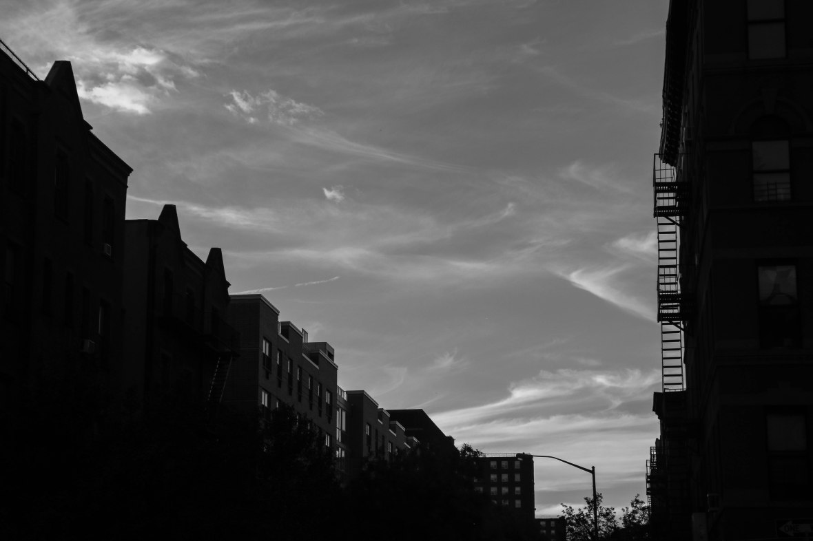 Black & White Silhouette N Skies