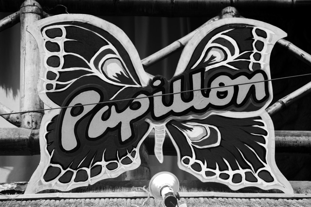 Papillon