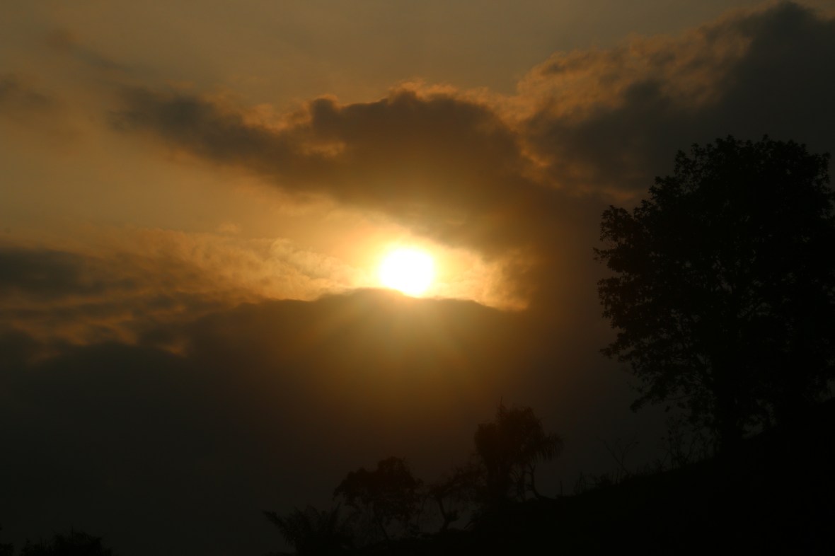 Sunset Set Over The Woods