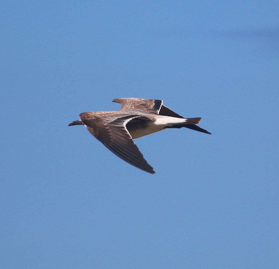 Check out the perfection in God's creation. 