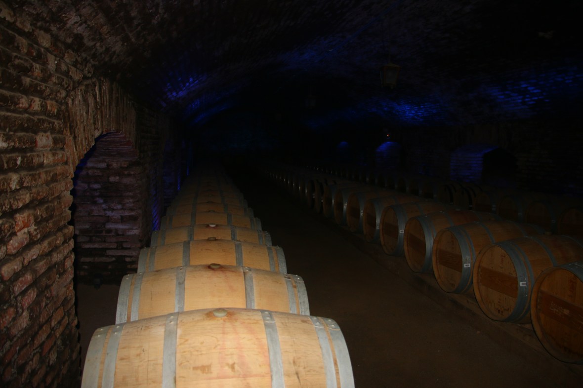 Casillero del Diablo Barrels 5