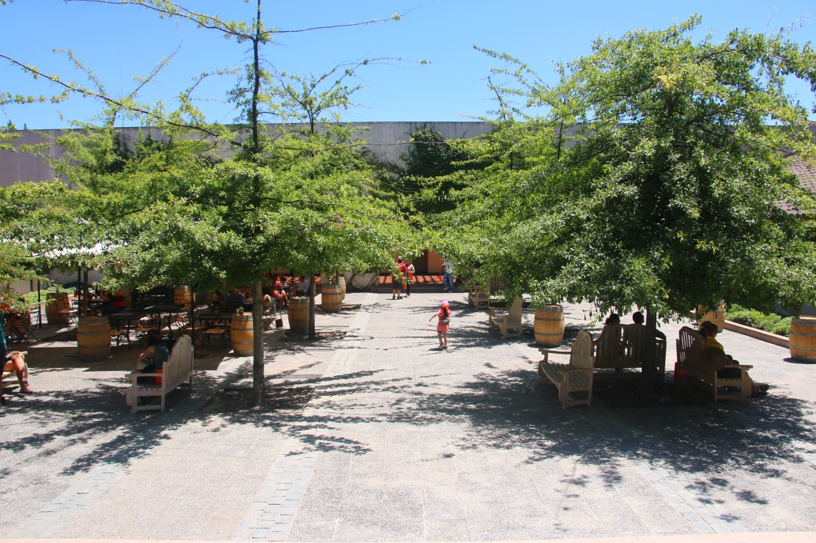 Concha Y Toro Courtyard