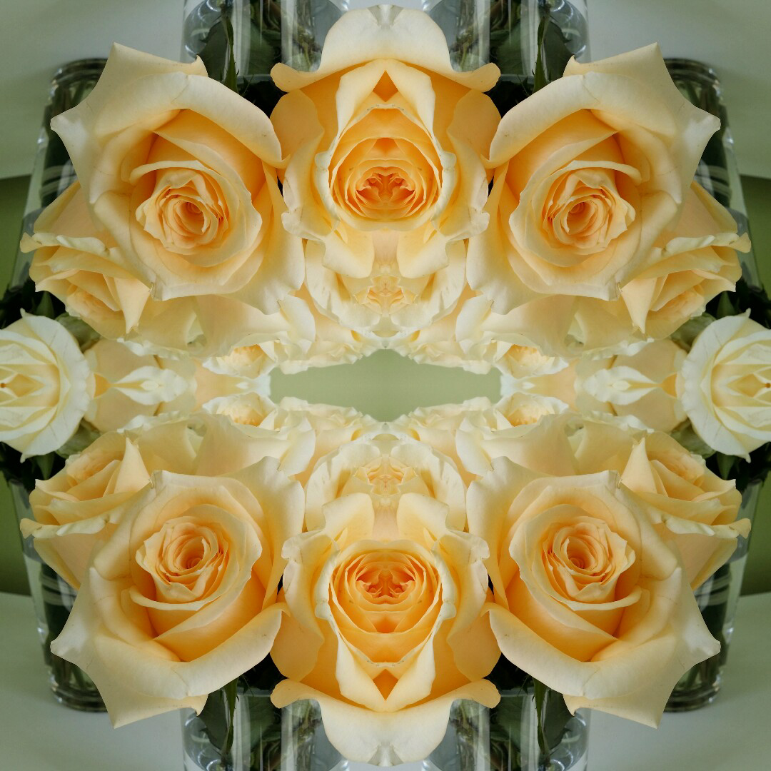 The Son of Rose: Golden Council