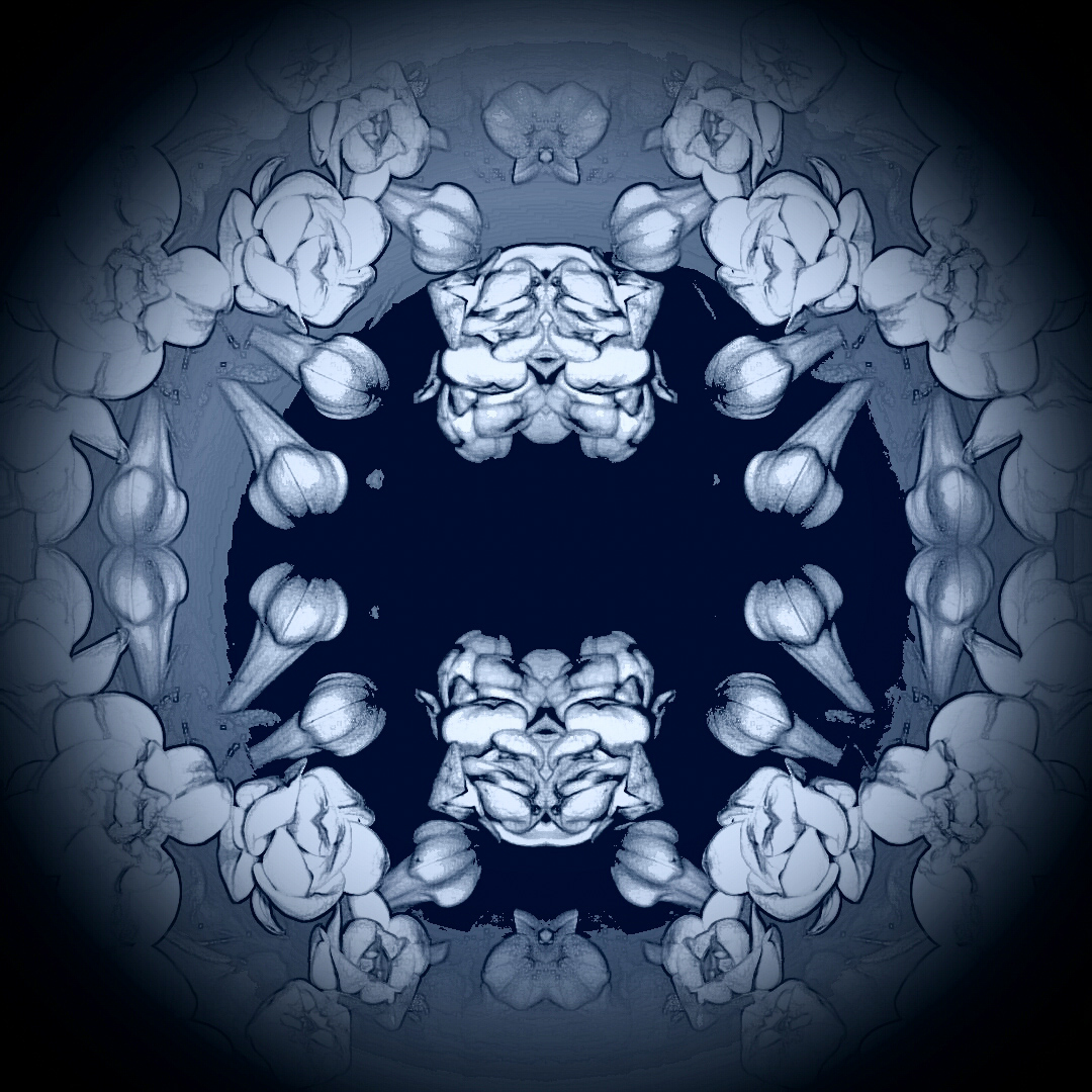 Blue Dimension Floral Portal