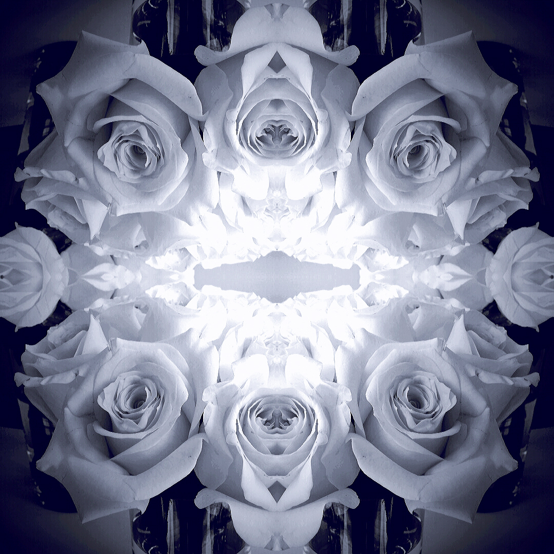 The Son of Rose: Ghost Blue Council Vignette