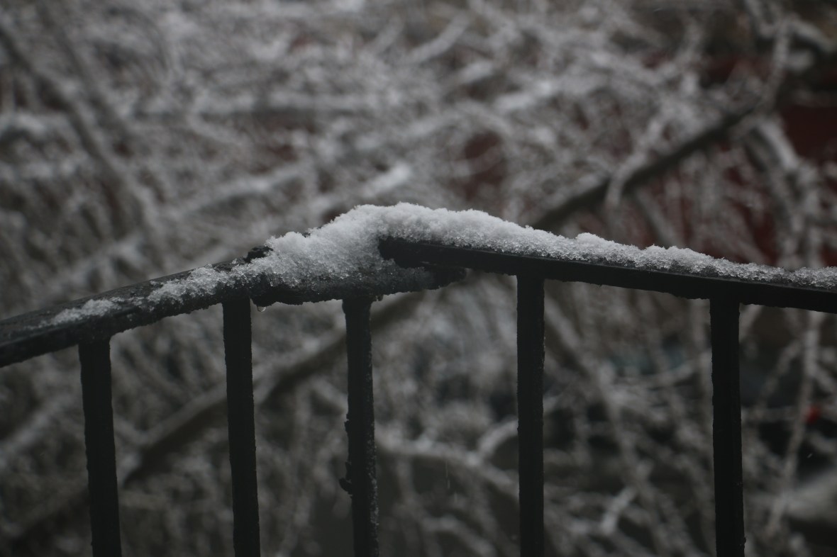 A New York City Winter 2016