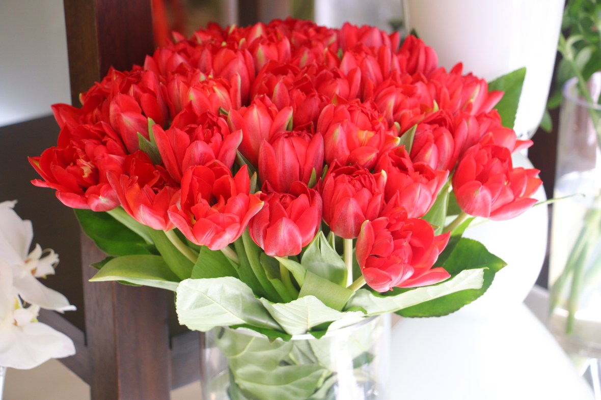 Shot on Location at the J Cellan Designs Boutique in East Harlem bringing class, elegance, sophistication style, & expertise to East Harlem.