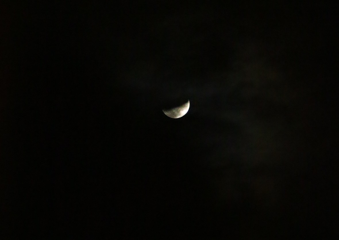 Quarter Moon Ecuadorian Nights