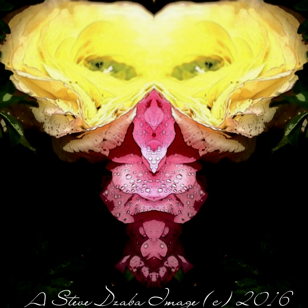 Portrait Series: The Watcher (Yellow & Pink)