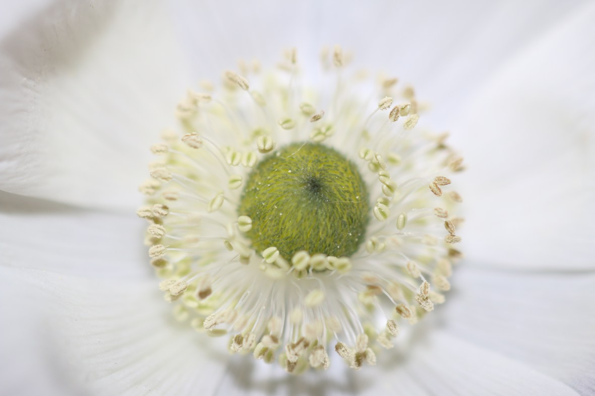 Shot on location @ J Cellan Designs Boutique, East Harlem, NY