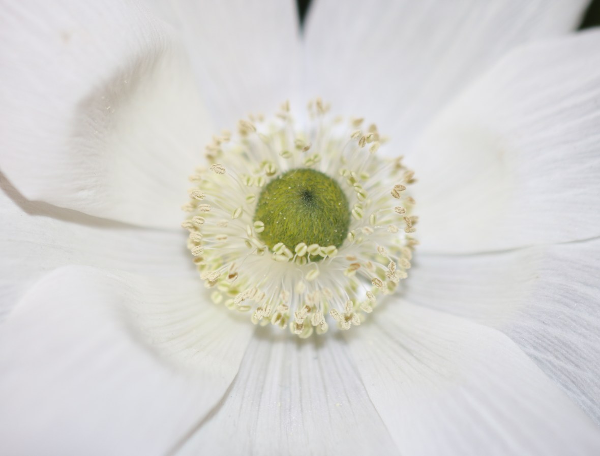 Shot on location @ J Cellan Designs Boutique, East Harlem, NY