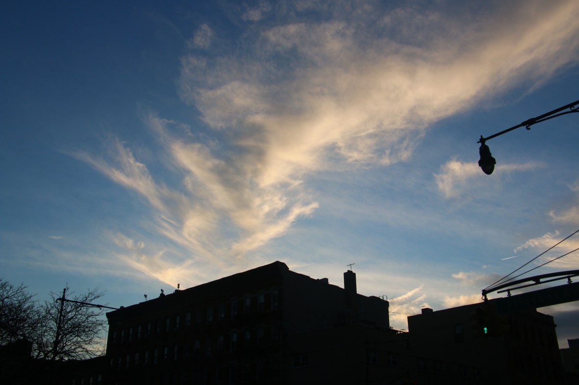 Landscape Portrait Series: Silhouettes & Skies "V"