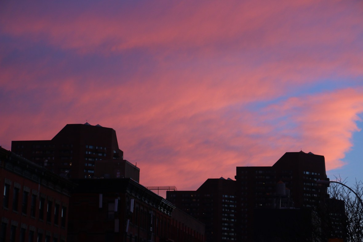 Pink/Blue Skies & Silhouettes (Harlem)