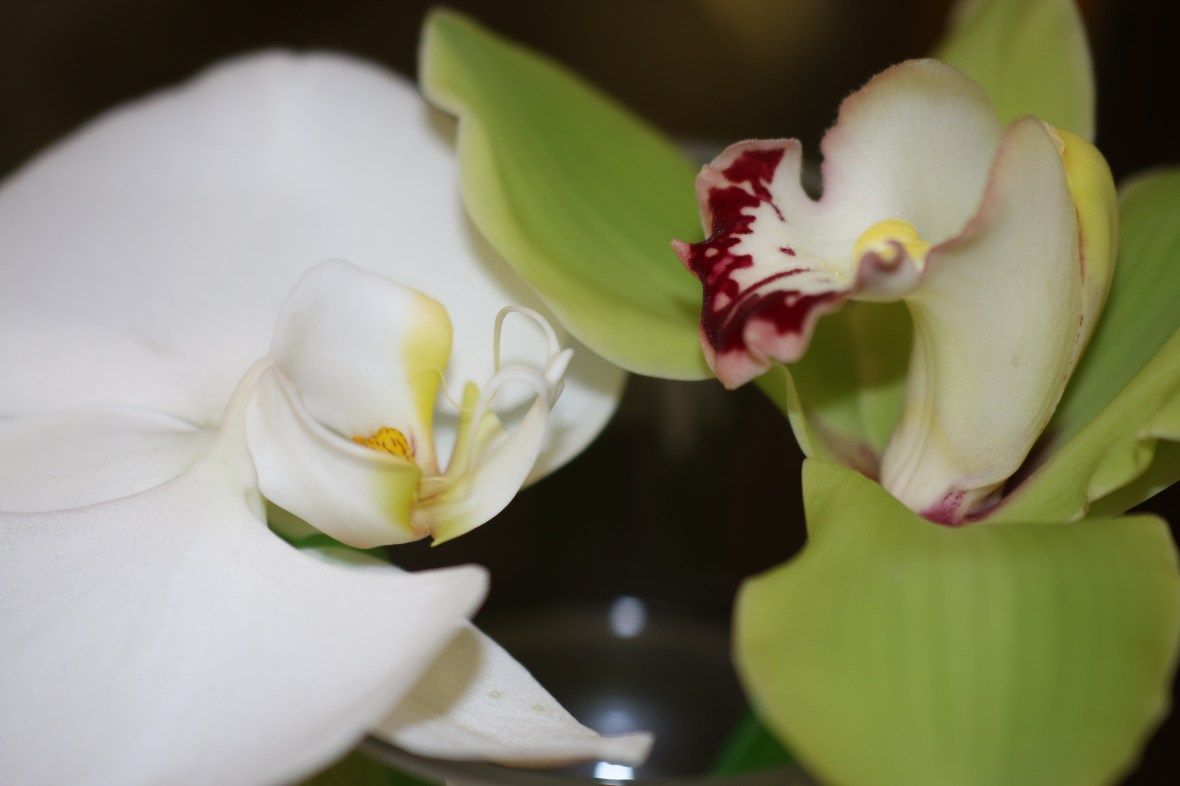 Shot on location @ J Cellan Designs Boutique, East Harlem, NY 