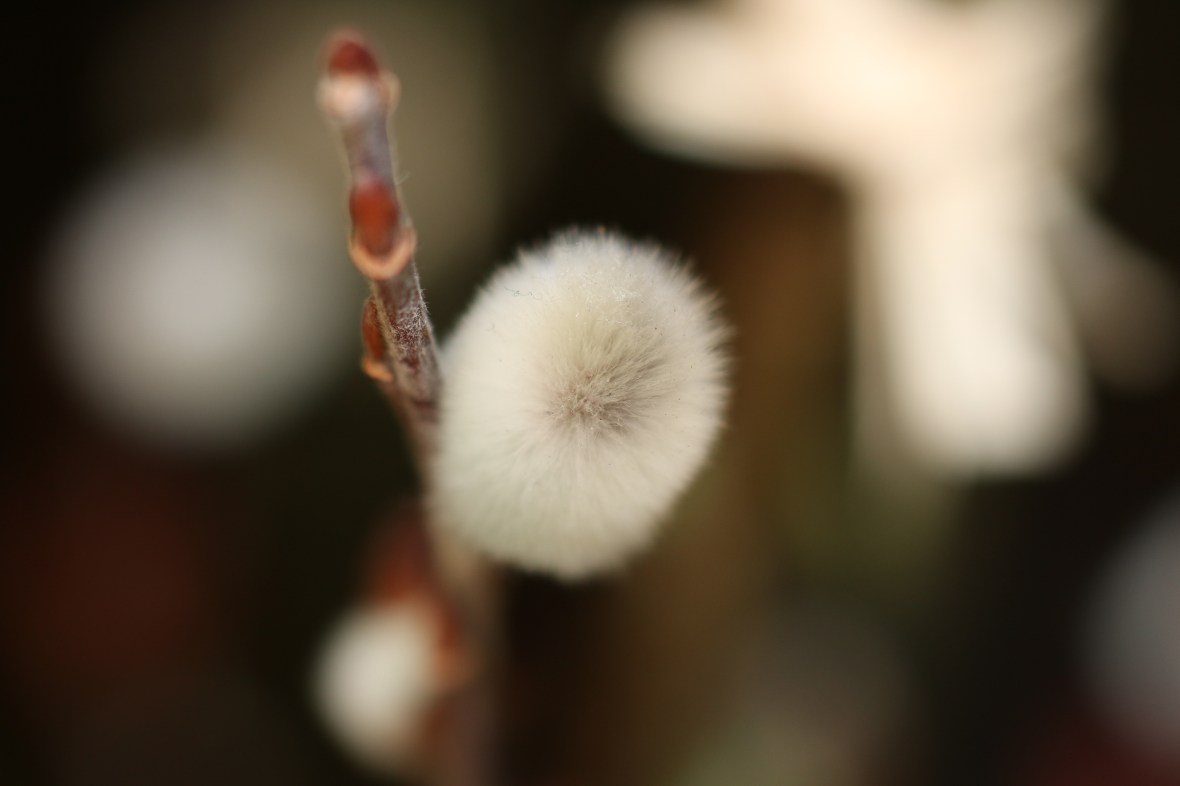 Shot on location @ J Cellan Designs Boutique, East Harlem, NY