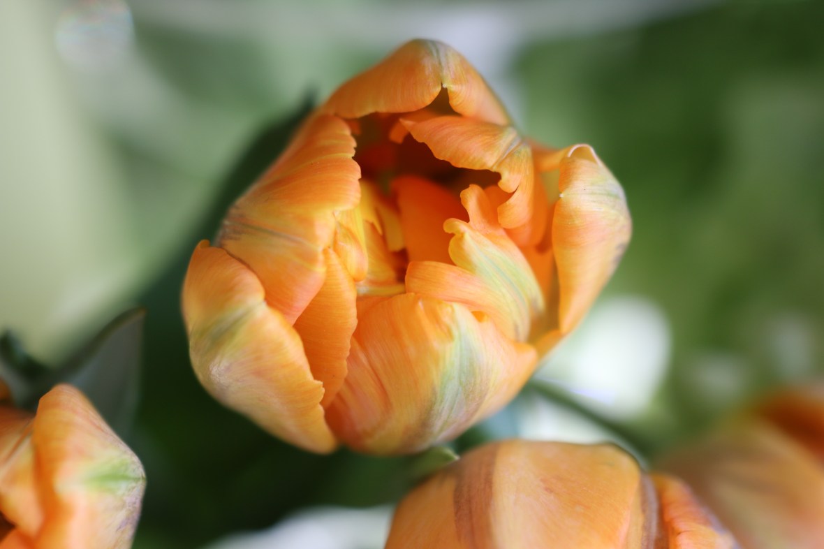 Shot on location @ J Cellan Designs Boutique, East Harlem, NY