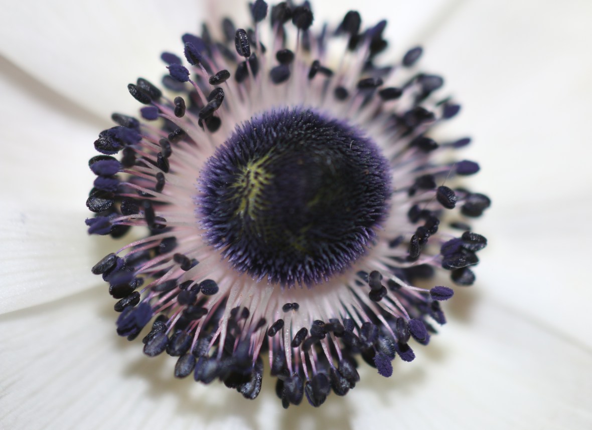 Shot on location @ J Cellan Designs Boutique, East Harlem, NY