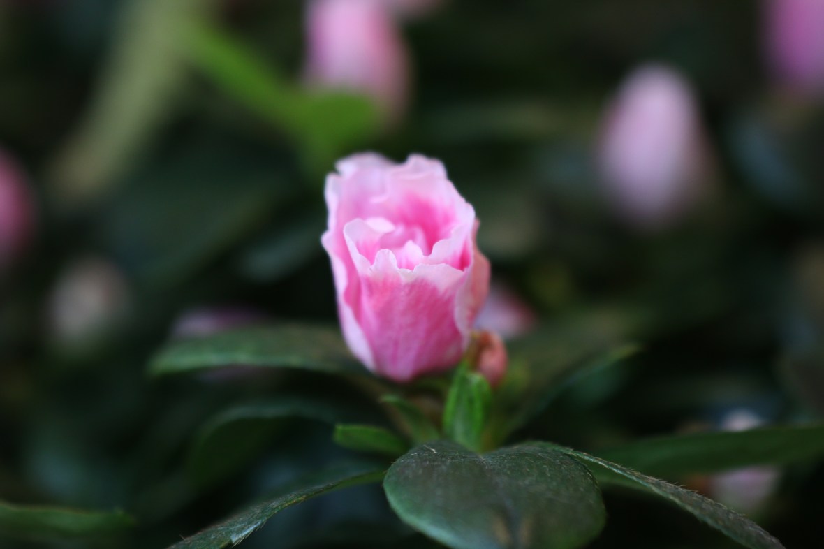 Shot on location @ J Cellan Designs Boutique, East Harlem, NY 