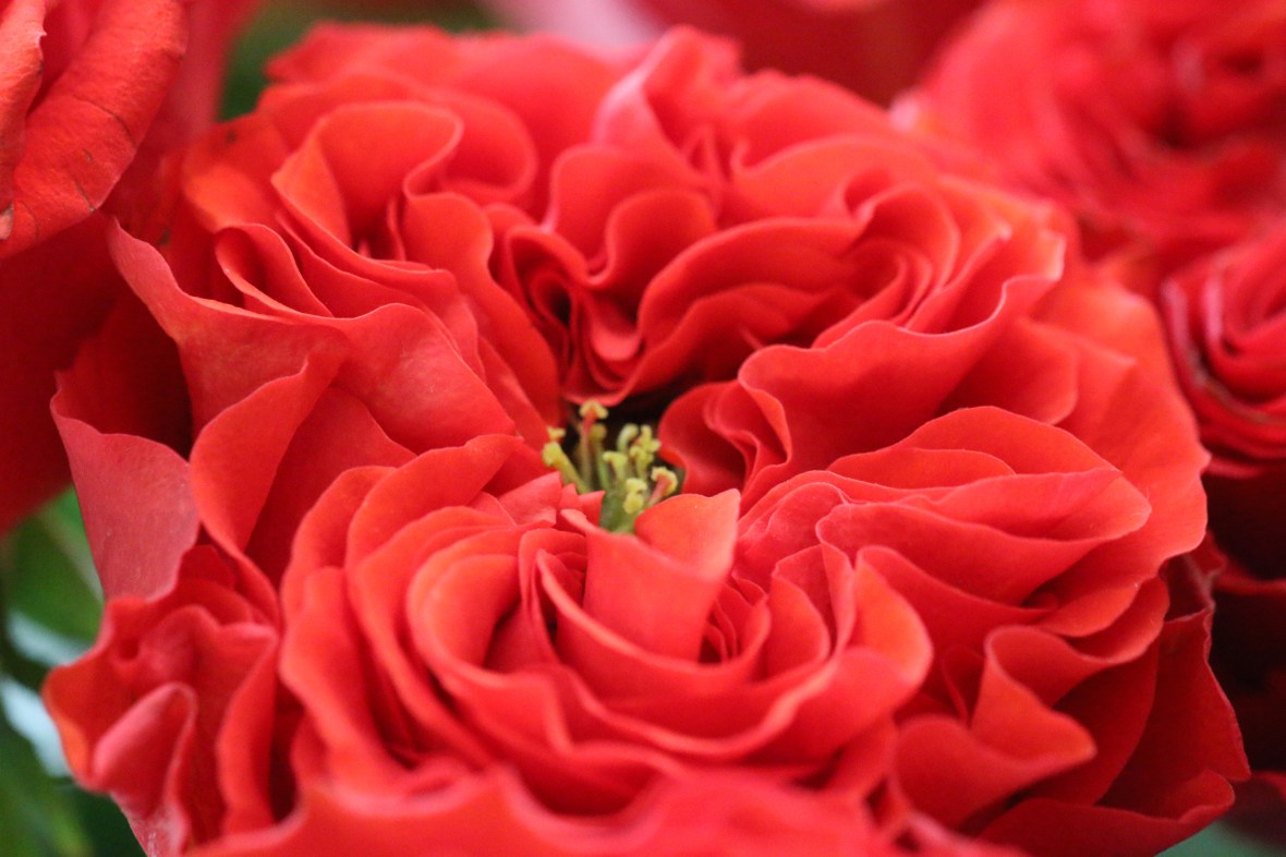 Shot on location @ J Cellan Designs Boutique, East Harlem, NY