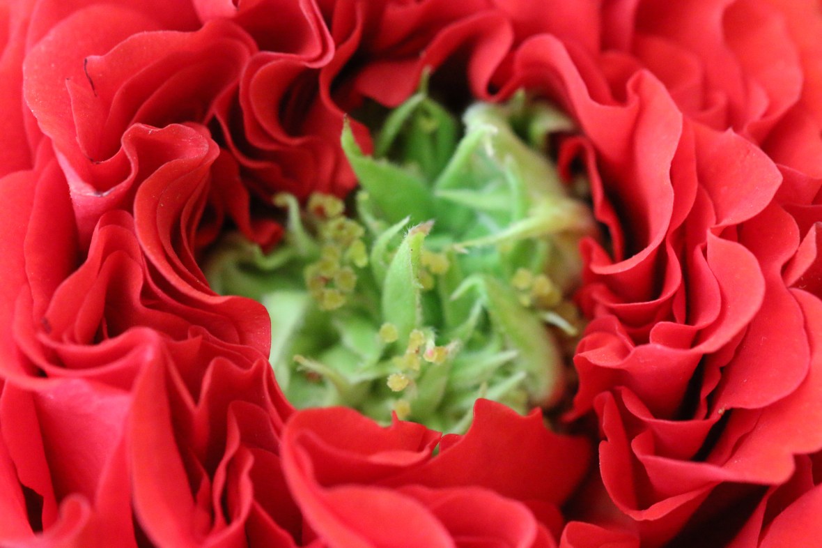 Shot on location @ J Cellan Designs Boutique, East Harlem, NY