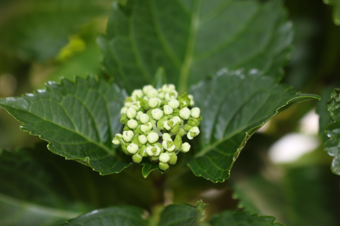 Shot on location @ J Cellan Designs Boutique, East Harlem, NY