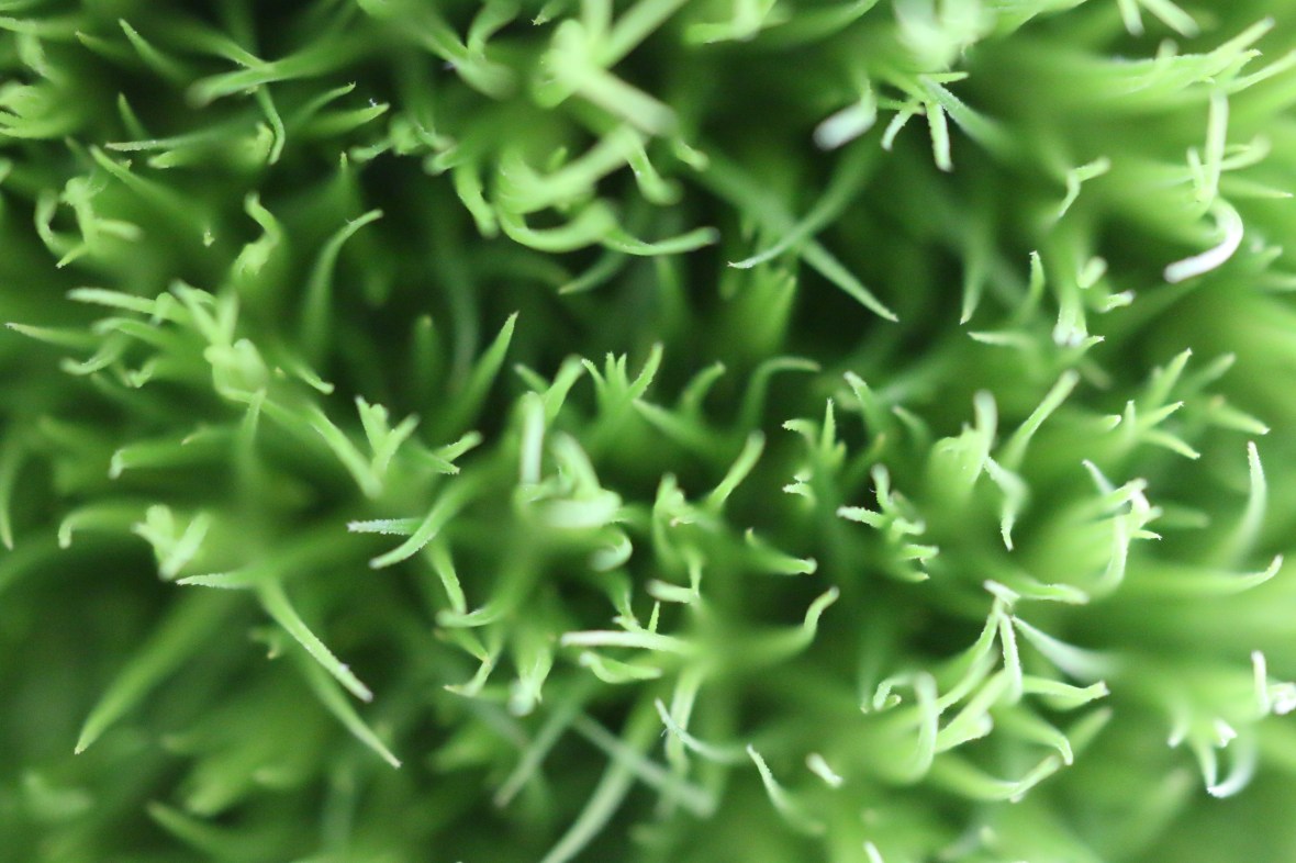 Shot on location @ J Cellan Designs Boutique, East Harlem, NY