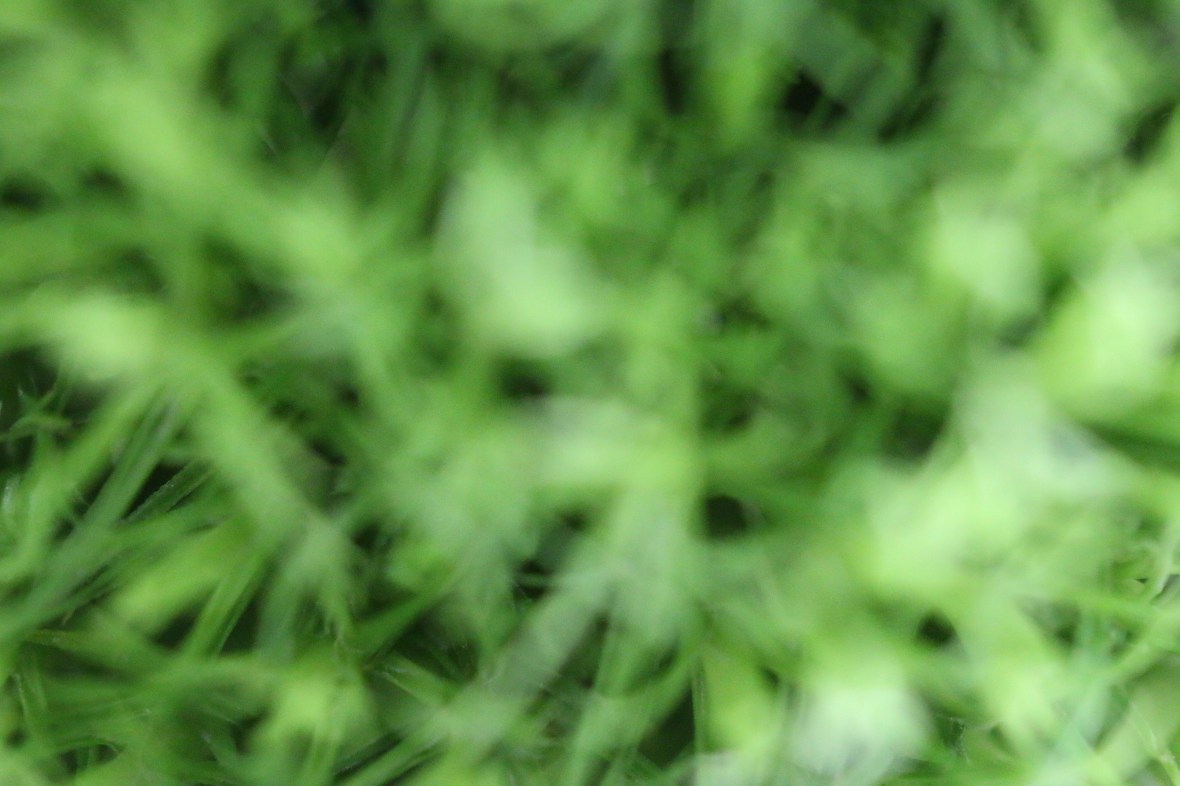 Shot on location @ J Cellan Designs Boutique, East Harlem, NY