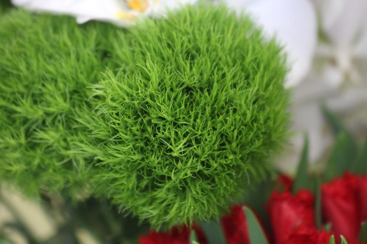 Shot on location @ J Cellan Designs Boutique, East Harlem, NY