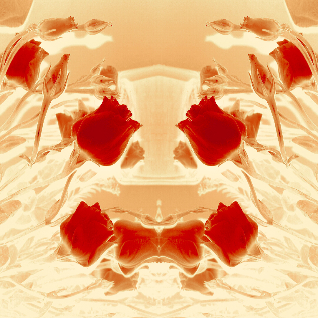 Kingdom Of The Rose: Approaching The Throne