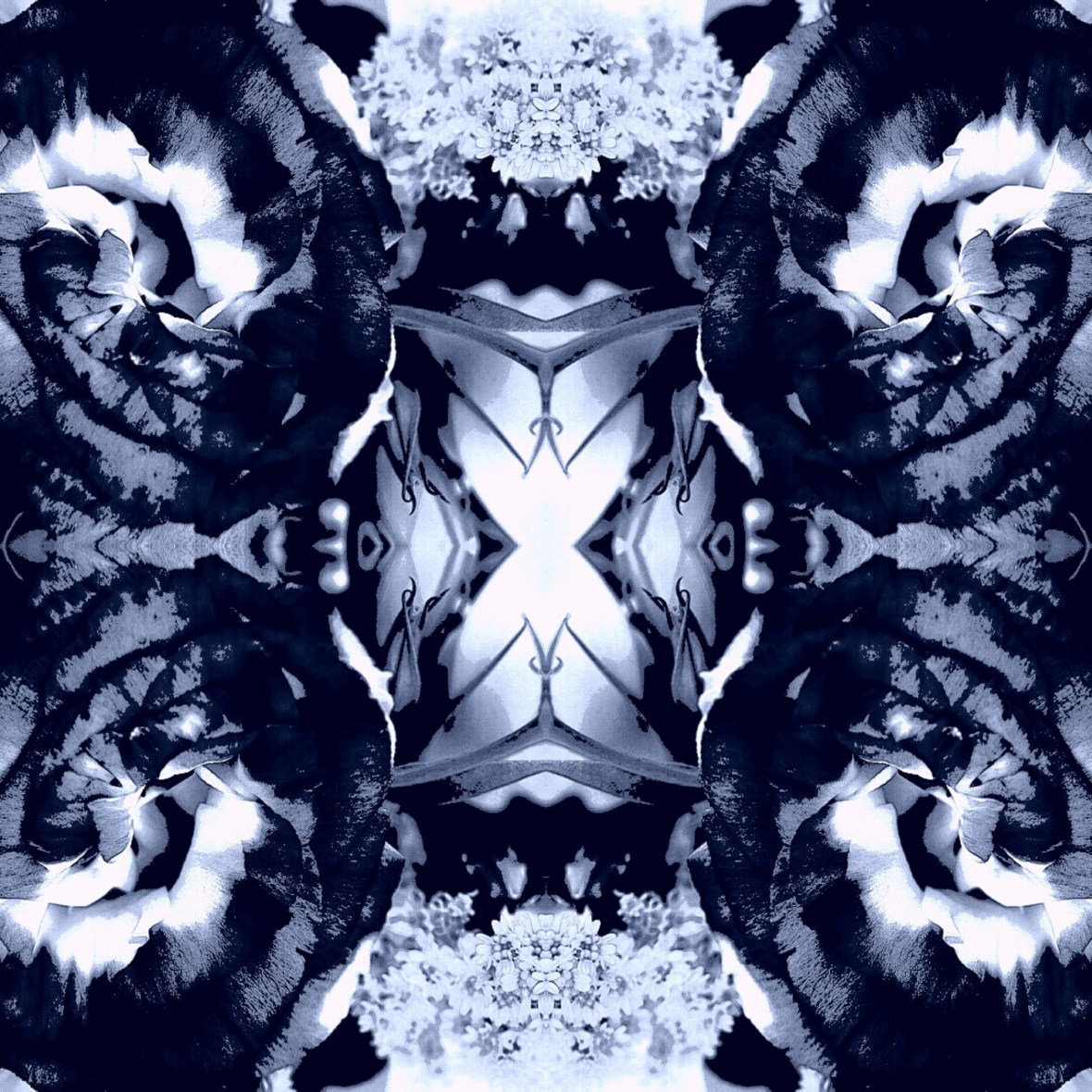 Abstract Portrait Series 15