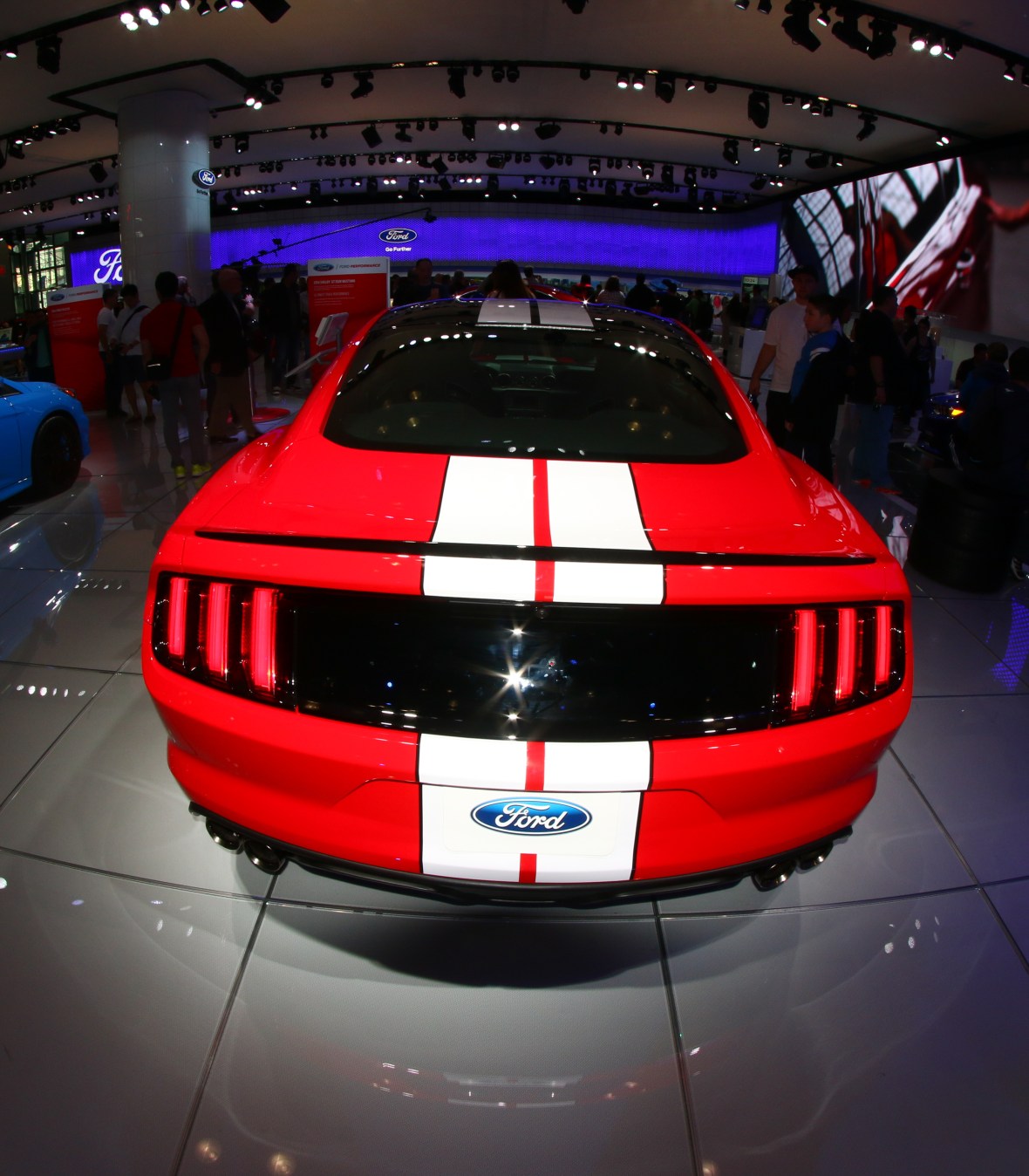 Shelby Rear View