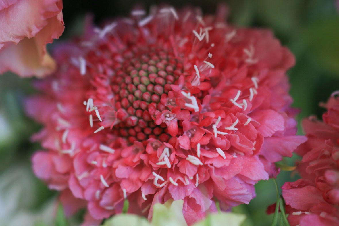 Shot on location @ J Cellan Designs Boutique, East Harlem, NYC