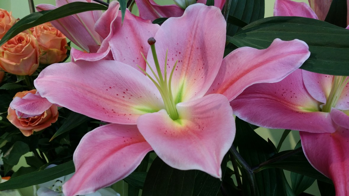 Shot on location at J Cellan Designs Boutique, East Harlem, NYC