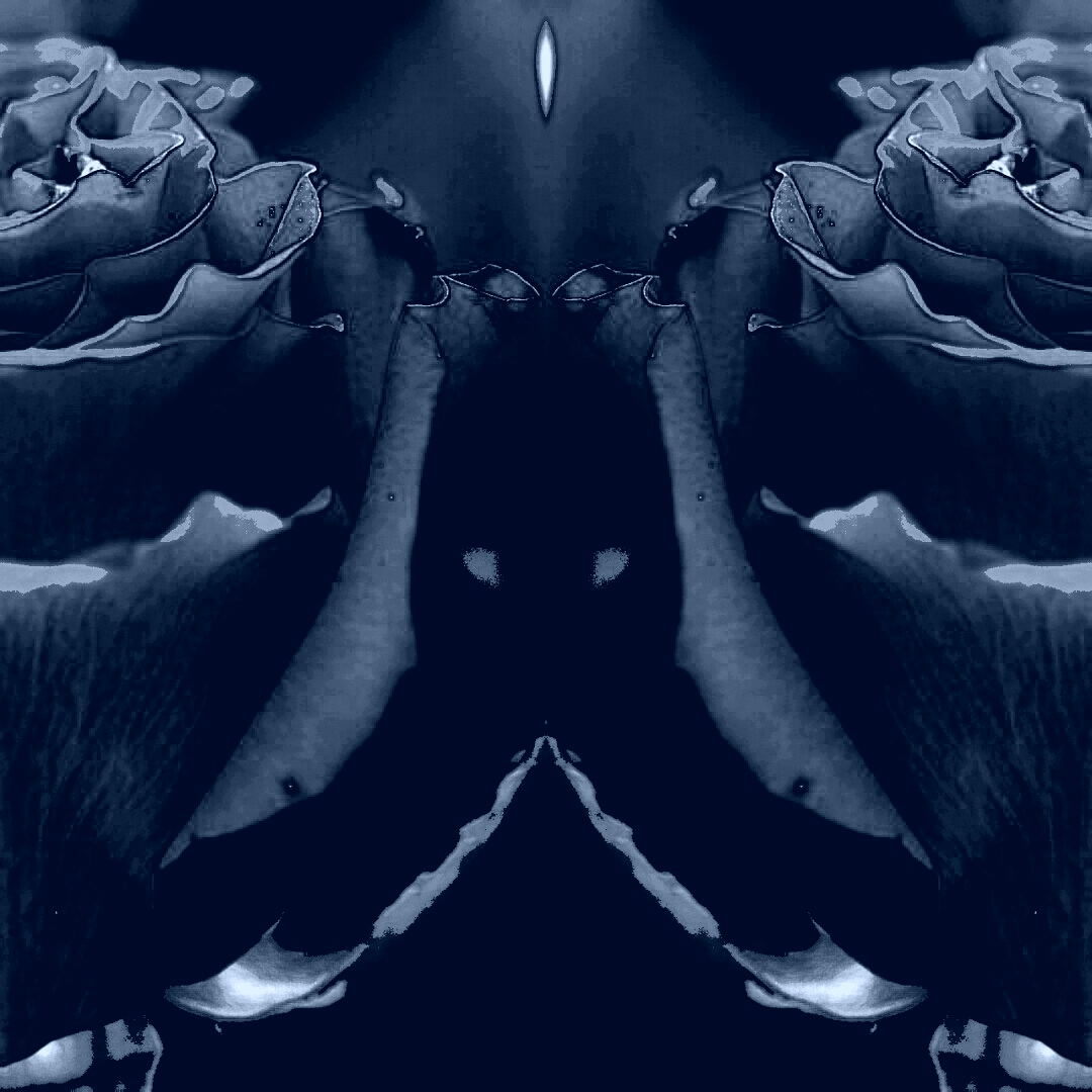 The Son Of Rose: Anonymity: Blue Steel