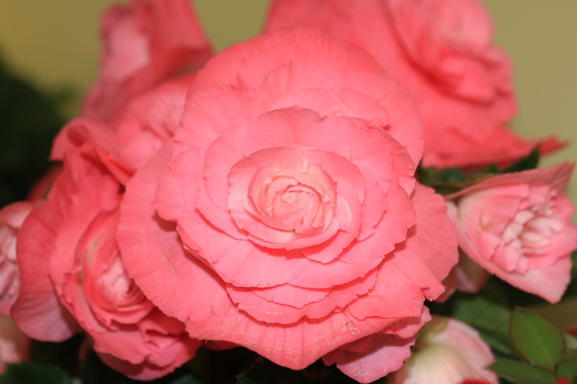 Umm.....Hallelujah!!!