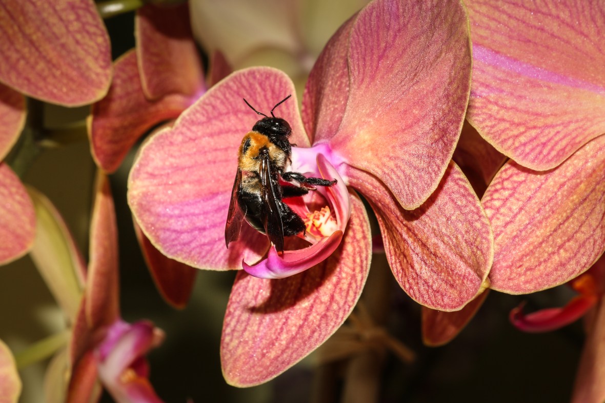 Shot on location @ J Cellan Designs Floral Boutique, East Harlem, NYC. 