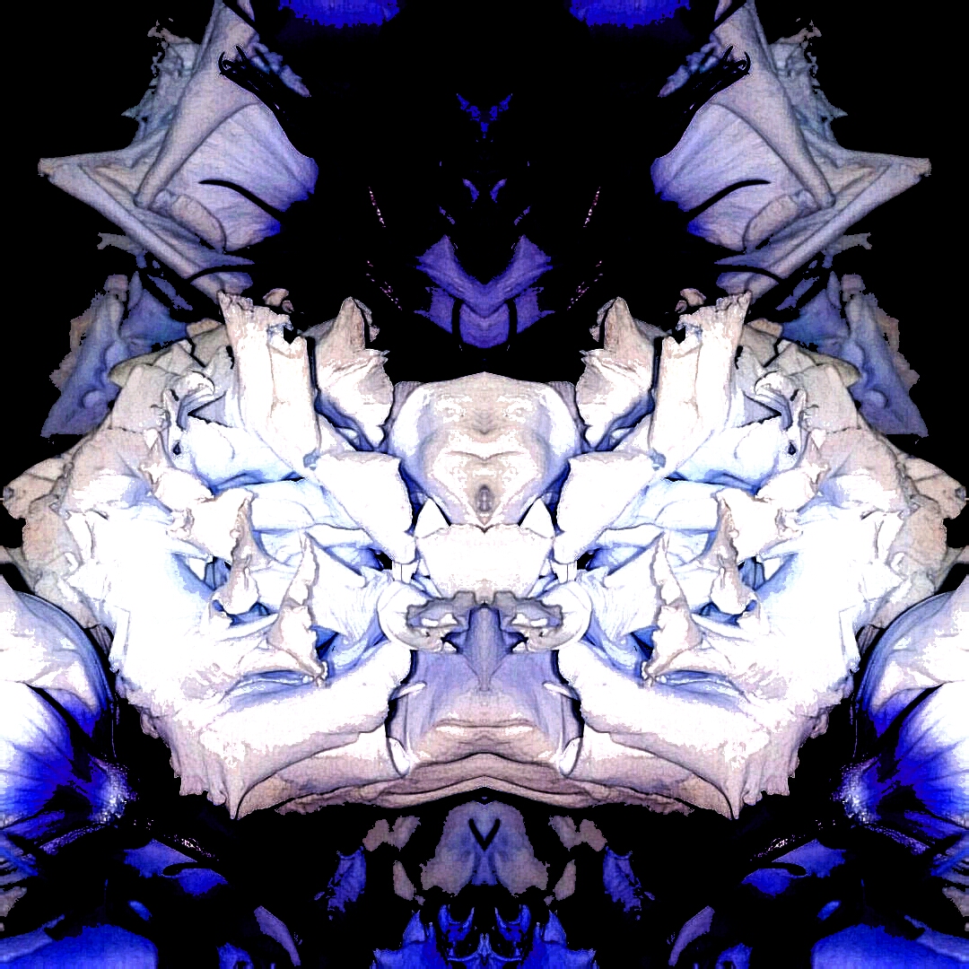 A Steve Dzaba Image (c) 2016