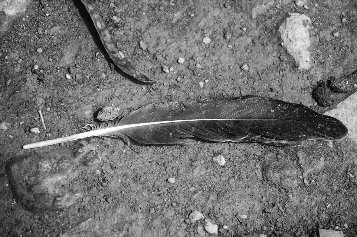 The Clue Black & White