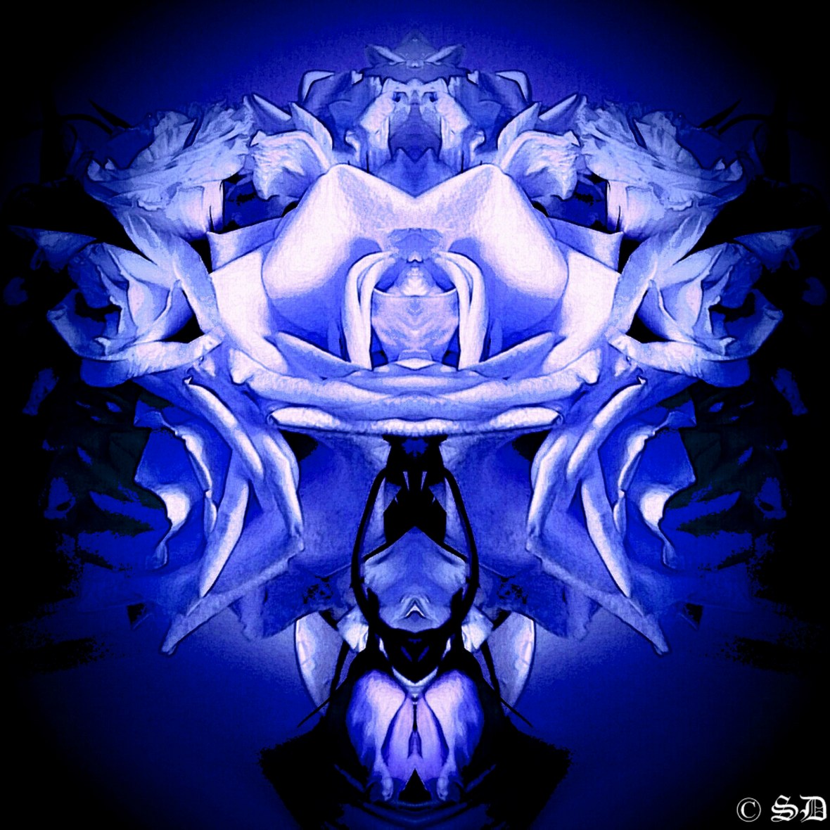 Abstract Portrait 17 Code Blue