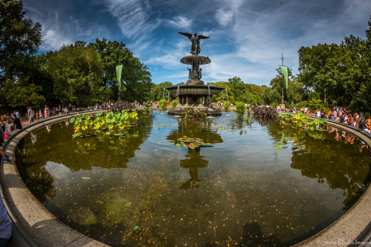 Central Park Series: The Fountain 2016