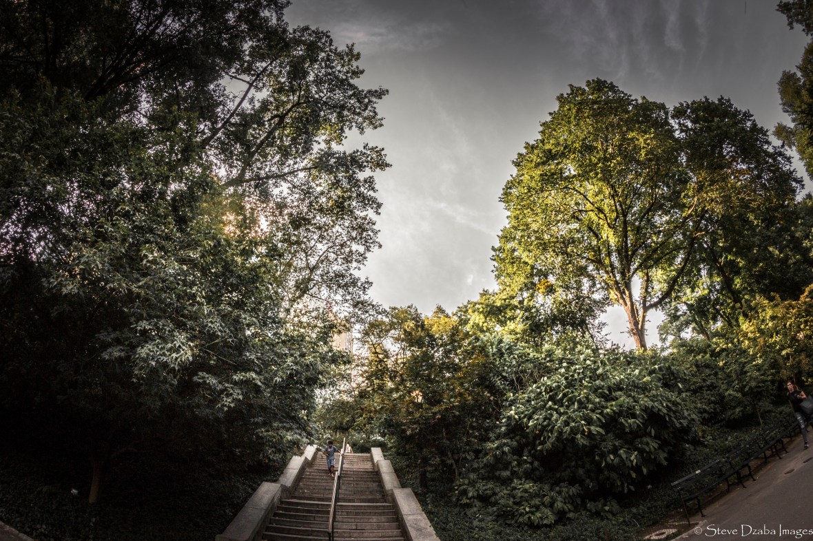 Central Park Scene: The Stairs