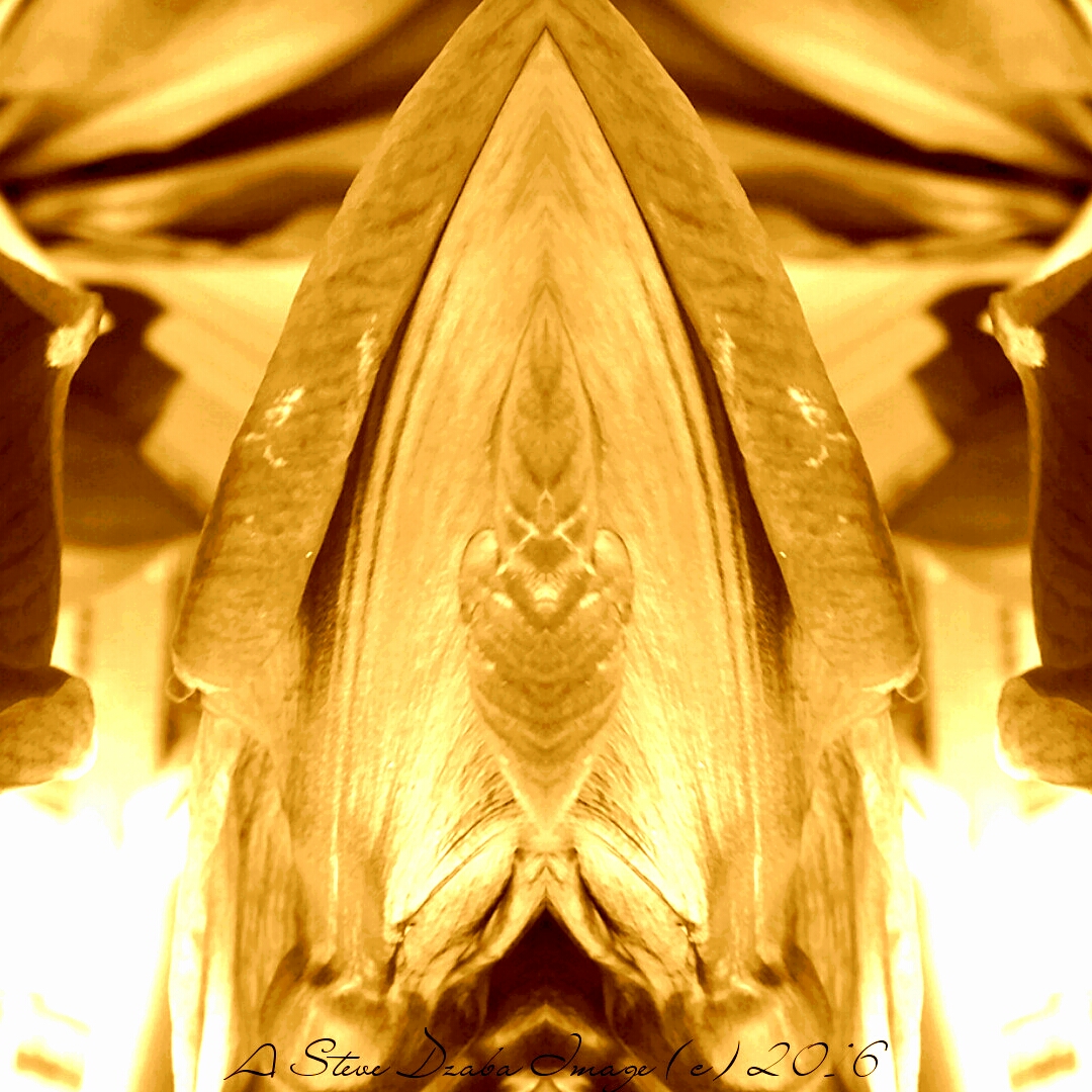 Golden Spear Tip Of The Sentinel Limited Edition